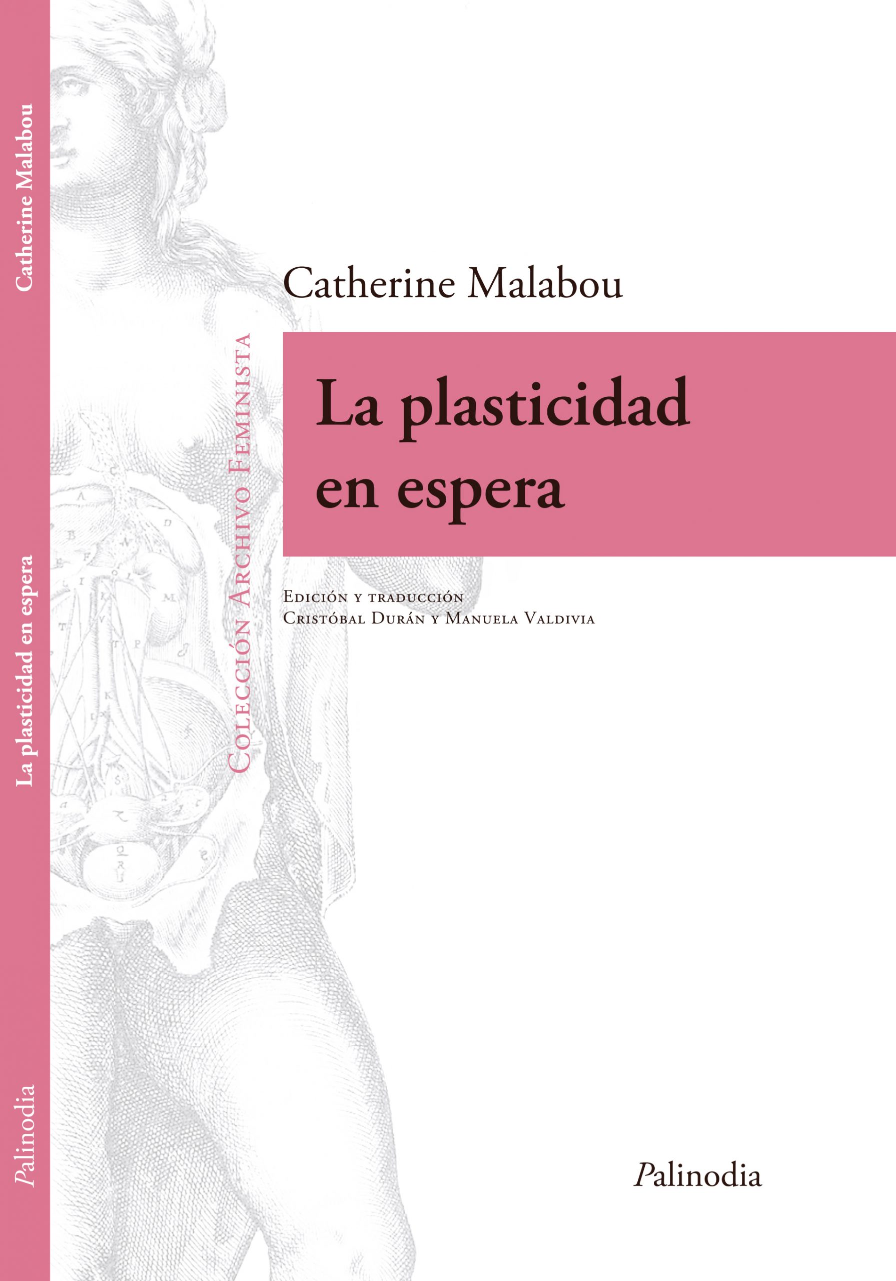 La plasticidad en espera